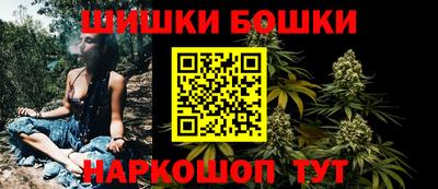 амф Новозыбков