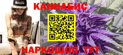 стафф Новодвинск