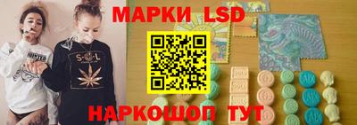 амф Новозыбков