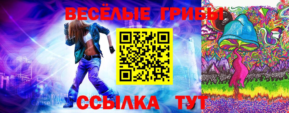 Галлюциногенные грибы мухоморы  Вход с VPN  Тобольск 